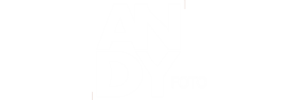 logo novo ANDY