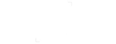 logo novo ANDY